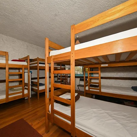 The Lazy Monkey Hostel & Apartments-3