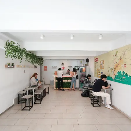 Naples Experience Hostel - Age Limit 18-28-2