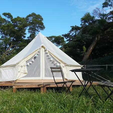 Yha Ngong Ping Sg Davis Youth Hostel-2