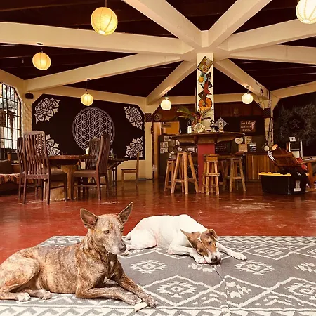 La Ruka Hostel-3