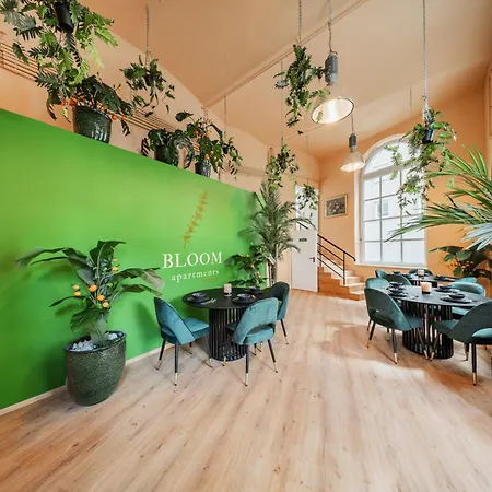 Bloom By Home1-3