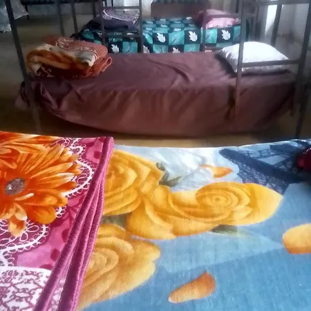 Himalayan Mountain View, Triund Trekking Hostel-3