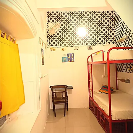 Gostops Lite Kochi-2