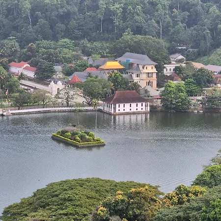 Lazy Bear Best Hostel In Kandy-3