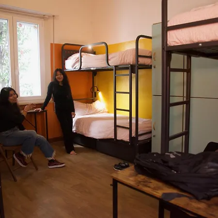 Sunflower City Student Hostel & Bar-2