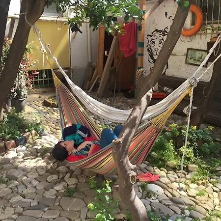Tirana Backpacker Hostel-2