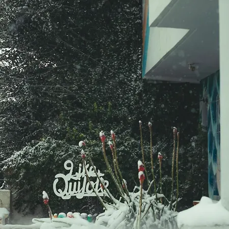 Hostel Like Quijote-2
