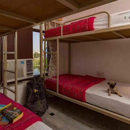 Zostel Udaipur-2