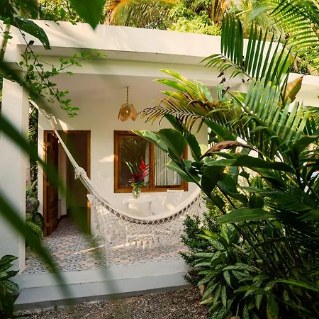 Casa Del Pavo Real Boutique Hotel Yoga & Spa-2