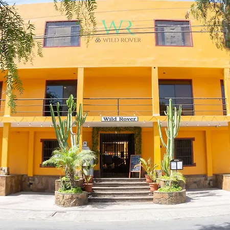 Wild Rover Huacachina-2