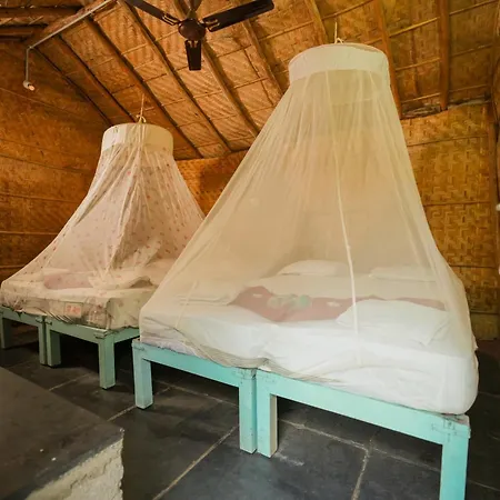 Hampi Nature Cottage-3
