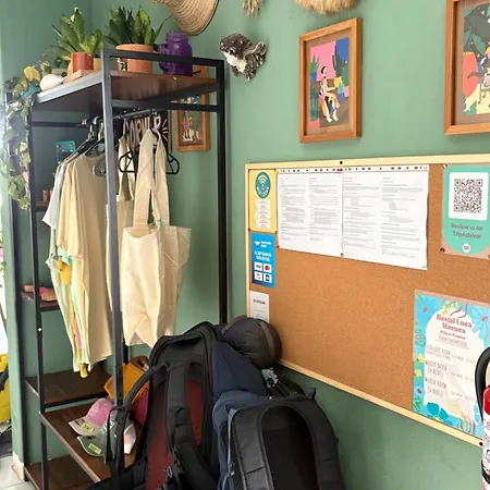 Hostal Cuca Macuca-3