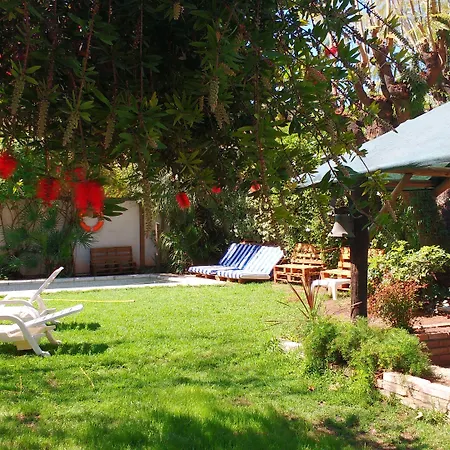 Gorilla Hostel-2