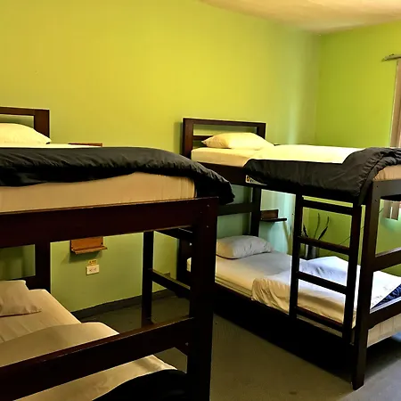 Minka Hostel-2