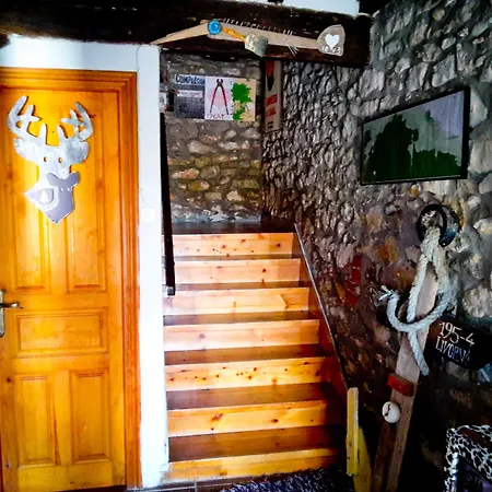 Surftolive House-3
