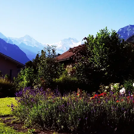 Adventure Hostel Interlaken-2