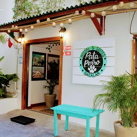 Hostal&Suites Pata de Perro-2