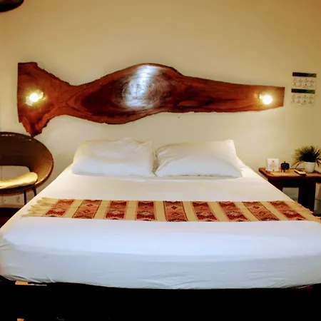 Hostal&Suites Pata de Perro-3