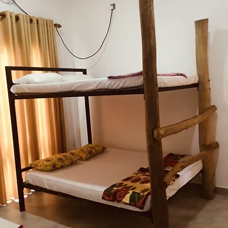 Jungle City Hostel-2