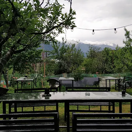 Madpackers Manali-3
