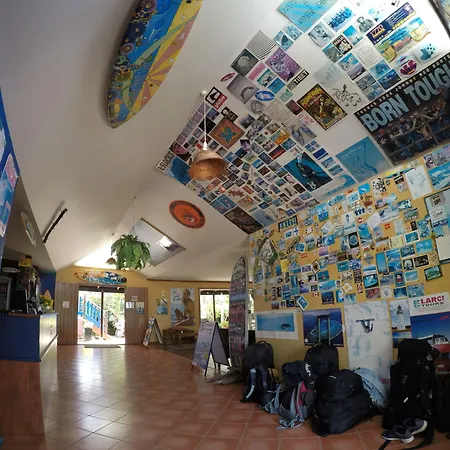 Cool Bananas Backpackers-2