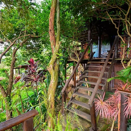Hostel do Morro-3