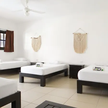 We Playa Hotel - Adults Only-2