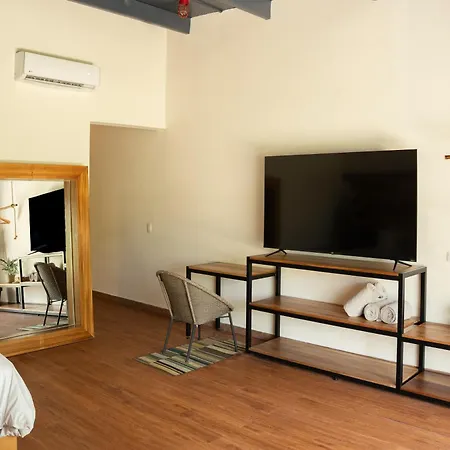Mayan Monkey Cancun - Social Hostel (Adults Only)-2