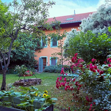 Budapest Garden Hostel-2