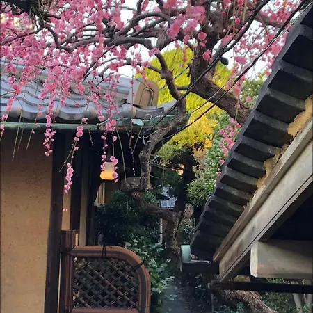 Guesthouse Nara Backpackers-2