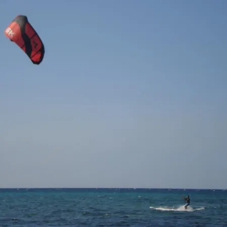 Beachouse Dive Hostel Cozumel-3