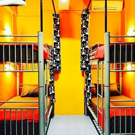 Csw Hostel-3