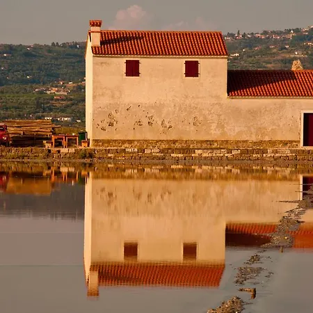 Hostel Piran-2