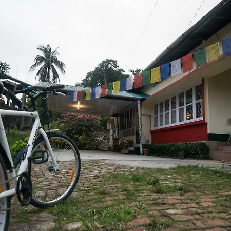 Gibbon Backpackers Hostel-3