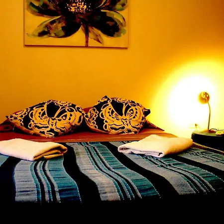 Casa Areka-2