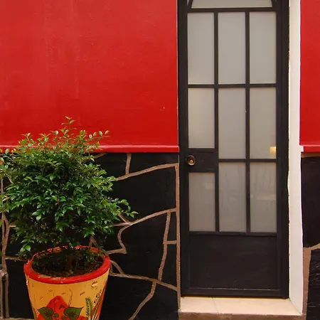 Olga Querida B&B Hostal-3