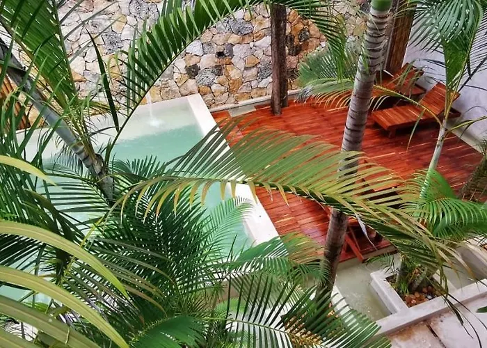 Hotel céntrico: Hotel Casa Bamboo
