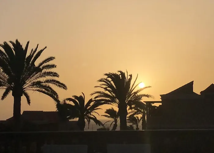 Wellenkind Surfschool