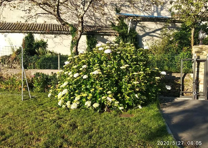 Hotel que admite mascotas: Casa Hortensia