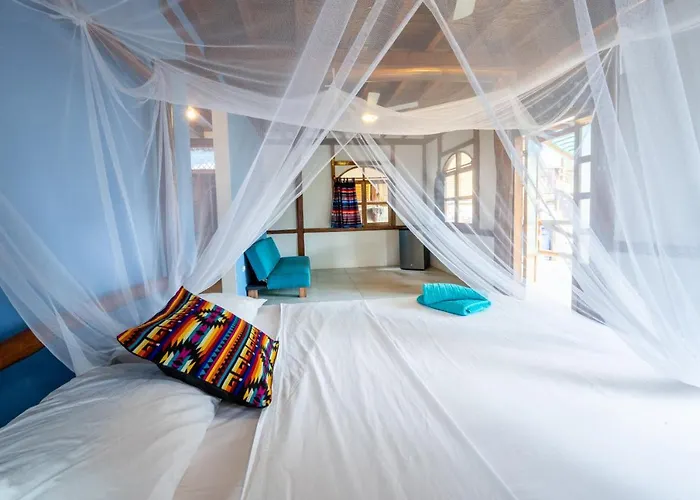 Pet Friendly hotel: Casa Del Sol