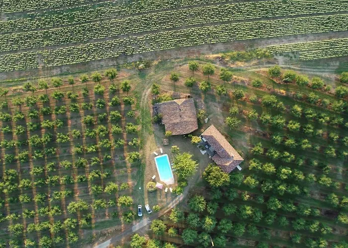 Domaine des pruniers