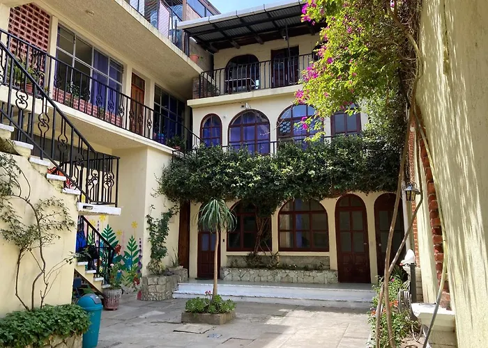 Kasa Kiwi Hostel & Travel Agency