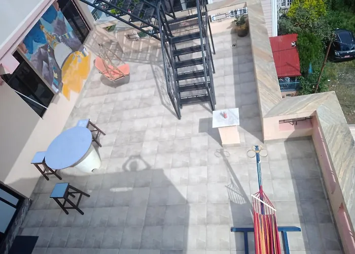 Pet Friendly hotel: Monkey Bunky-3Monkeys Backpacker'S Hostel