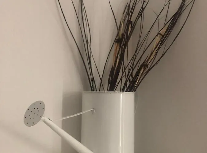 Albergo economico: Myroom Sui Portici
