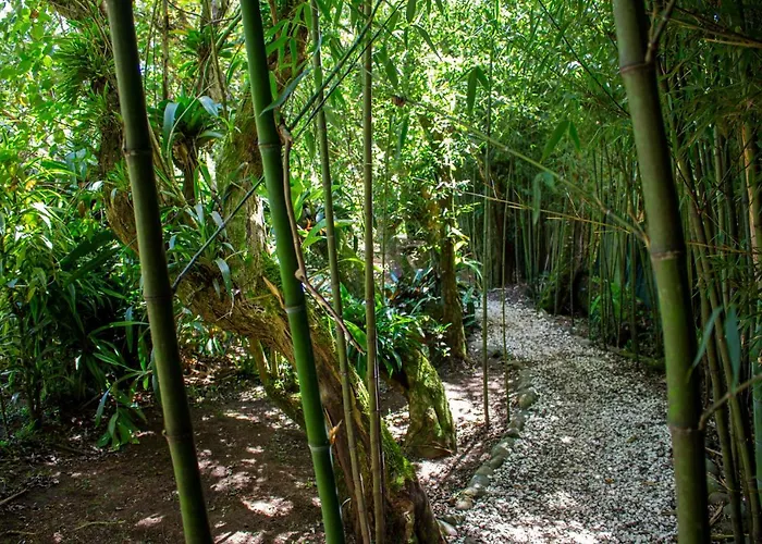 Holistico Monteverde