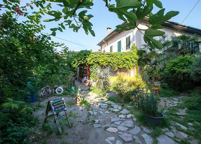 Mi Casa Es Tu Casa - Backpackers