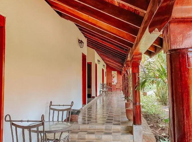 Pet Friendly hotel: Viavia Leon