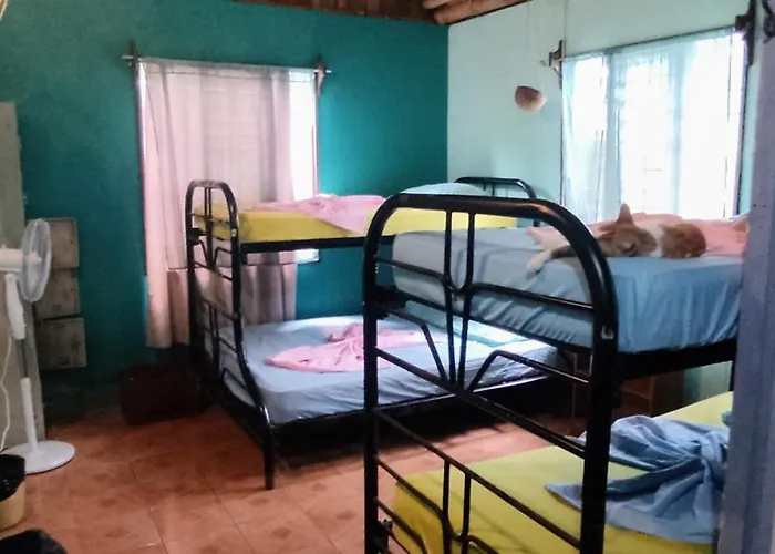 Hostel Matilori