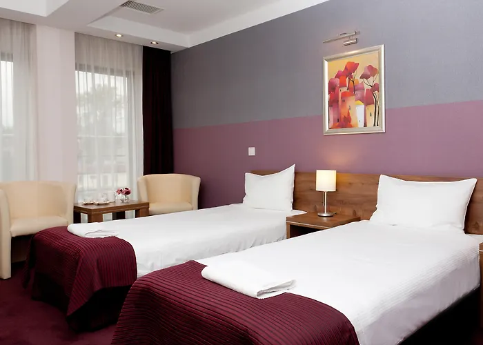 Waterpark Hotel: Hotel Swing
