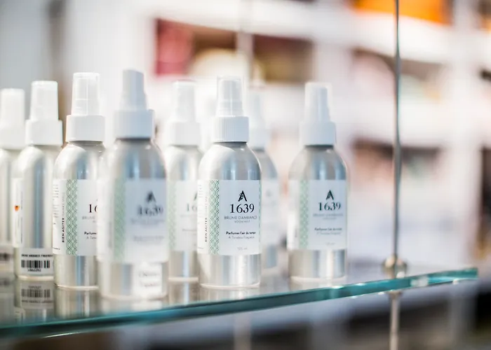 Hotel: Monastere Des Augustines